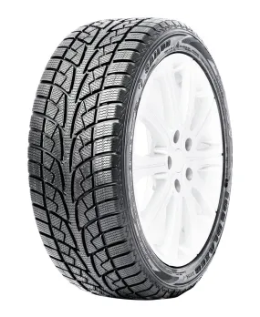 Ice Blazer WSL2 - 205/55R16 94H