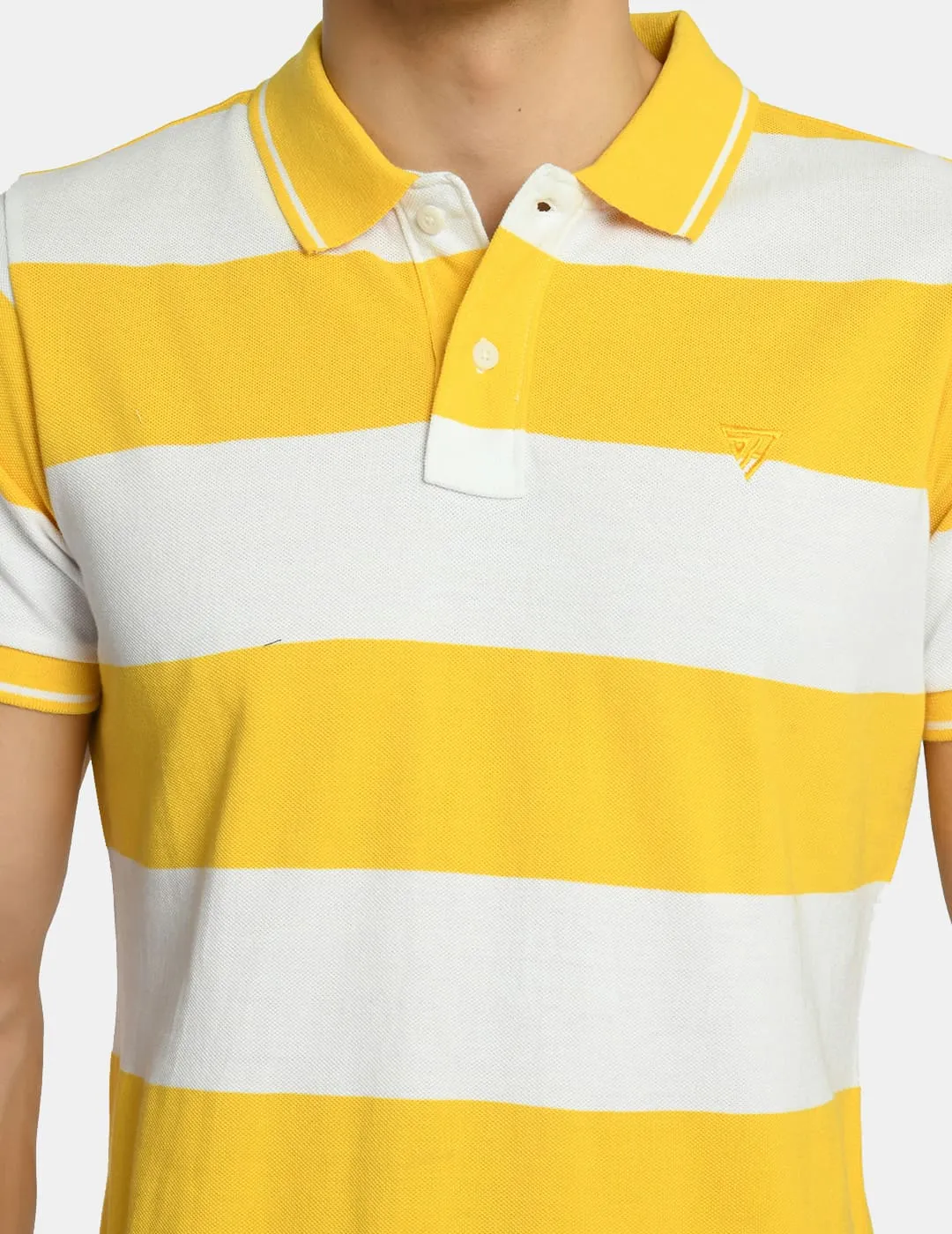 Men's Striped Casual Wear Polo T-Shirt