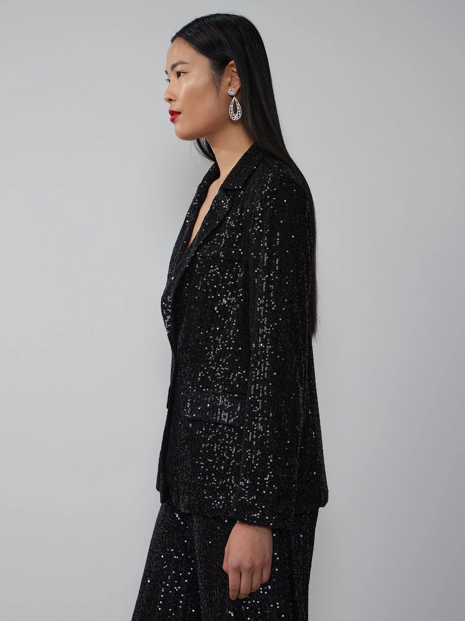 Single Breasted Sequin Embellished Blazer