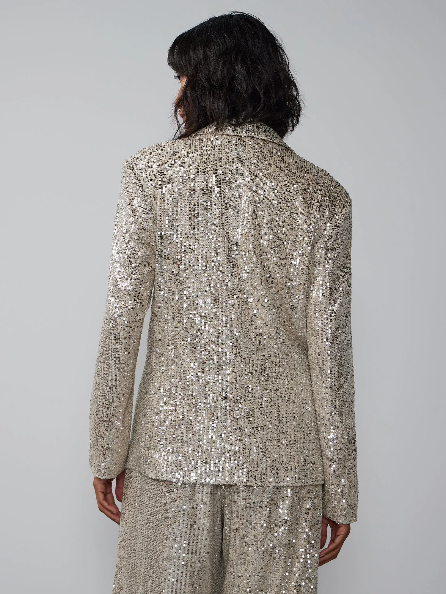 Single Breasted Sequin Embellished Blazer