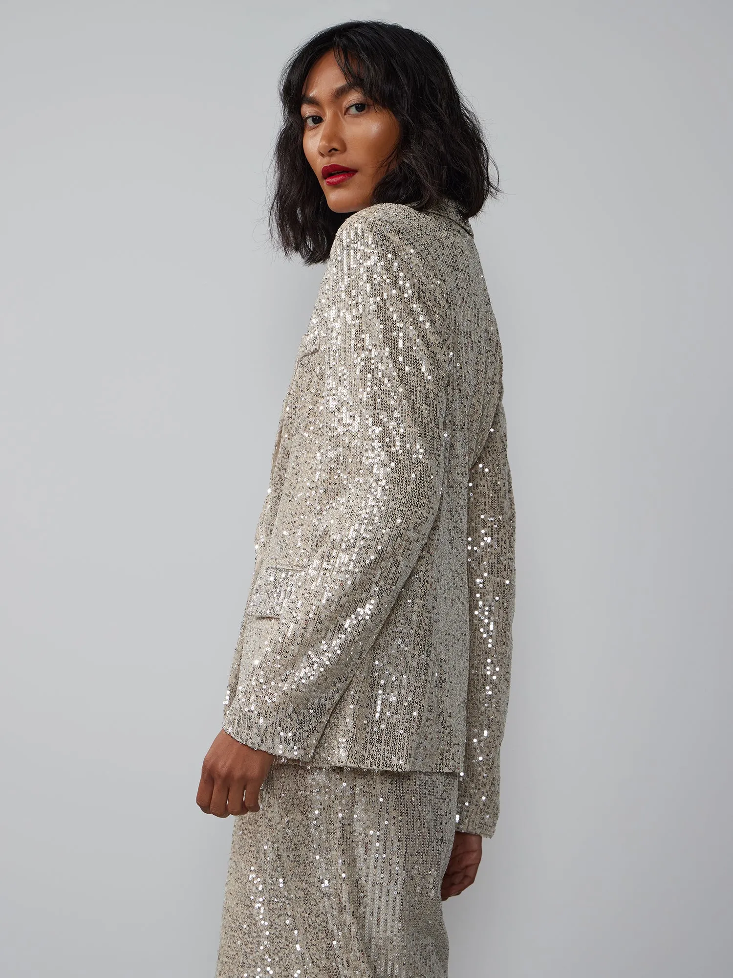 Single Breasted Sequin Embellished Blazer